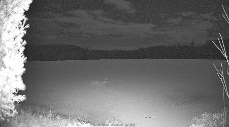 Image from 2025-04-05