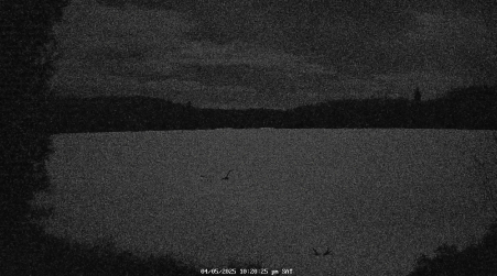 Image from 2025-04-05