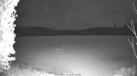 Image from 2025-04-05