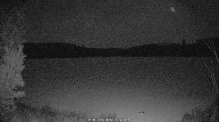 Image from 2025-04-05