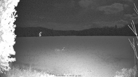Image from 2025-04-05