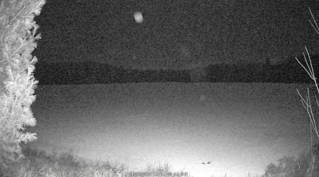 Image from 2025-04-06