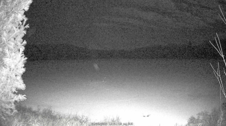 Image from 2025-04-06