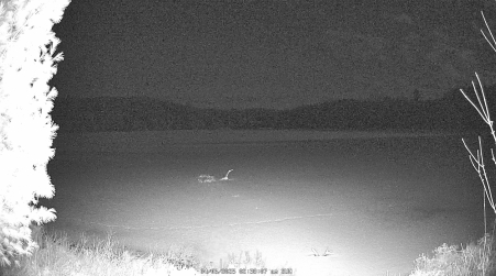Image from 2025-04-06