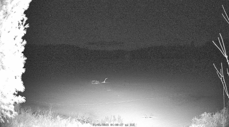 Image from 2025-04-06