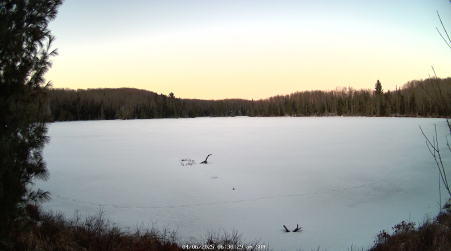 Image from 2025-04-06