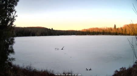Image from 2025-04-06