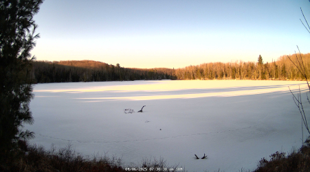 Image from 2025-04-06