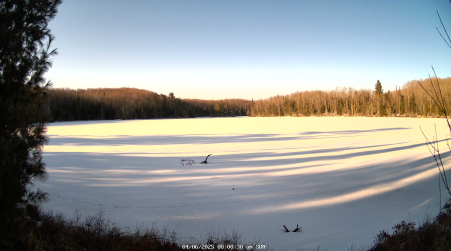Image from 2025-04-06