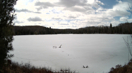 Image from 2025-04-06