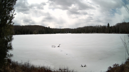 Image from 2025-04-06