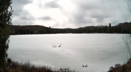 Image from 2025-04-06