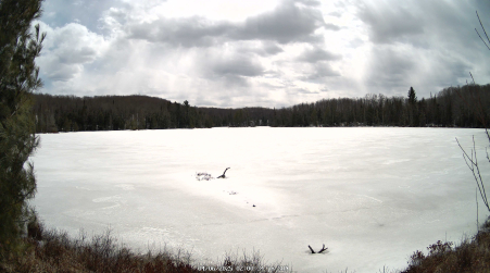 Image from 2025-04-06