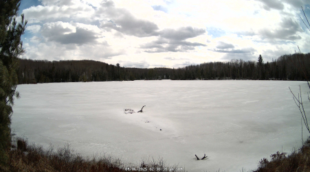 Image from 2025-04-06