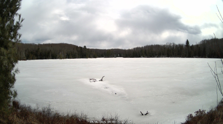 Image from 2025-04-06