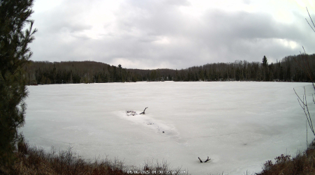 Image from 2025-04-06