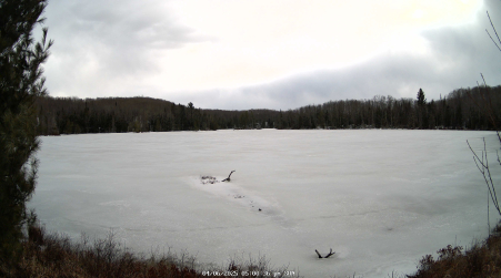 Image from 2025-04-06