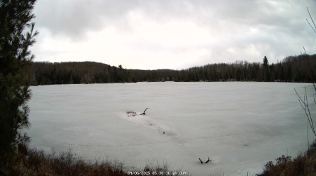 Image from 2025-04-06