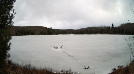 Image from 2025-04-06