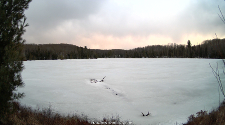 Image from 2025-04-06