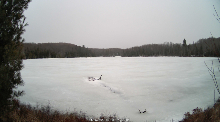 Image from 2025-04-06