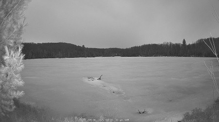 Image from 2025-04-06