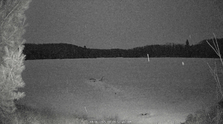 Image from 2025-04-06