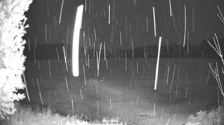 Image from 2025-04-06