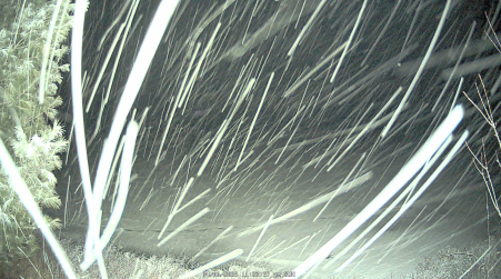 Image from 2025-04-06