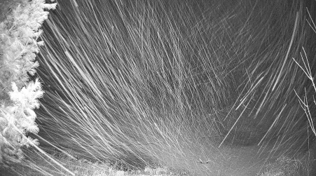 Image from 2025-04-06
