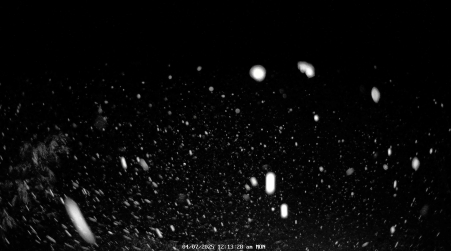 Image from 2025-04-07