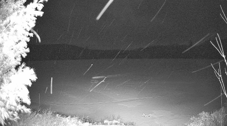 Image from 2025-04-07