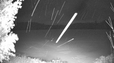 Image from 2025-04-07
