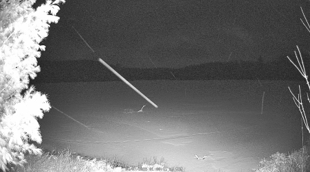 Image from 2025-04-07