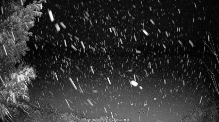 Image from 2025-04-07