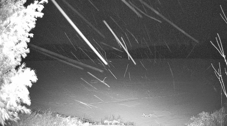 Image from 2025-04-07