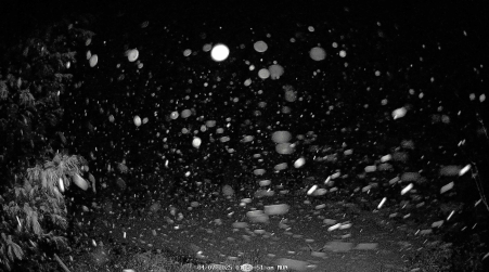 Image from 2025-04-07