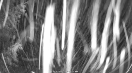 Image from 2025-04-07