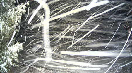 Image from 2025-04-07