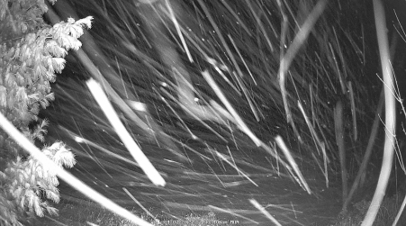 Image from 2025-04-07
