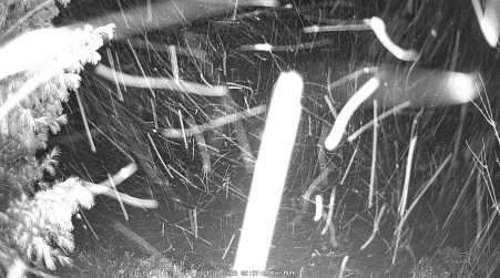 Image from 2025-04-07