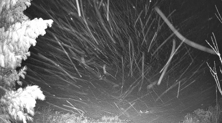 Image from 2025-04-07