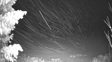 Image from 2025-04-07