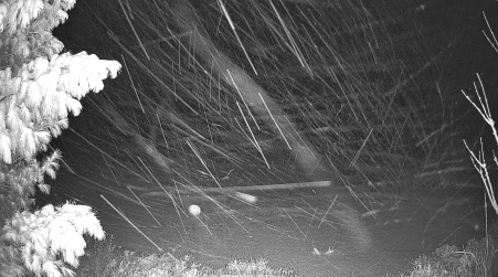 Image from 2025-04-07