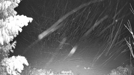 Image from 2025-04-07