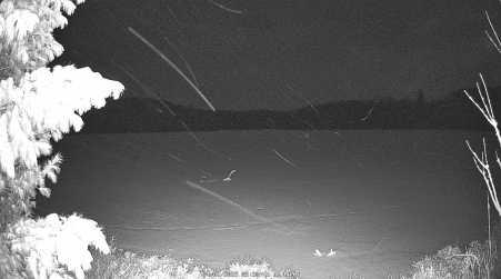 Image from 2025-04-07