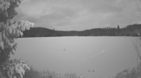 Image from 2025-04-07