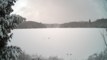 Image from 2025-04-07