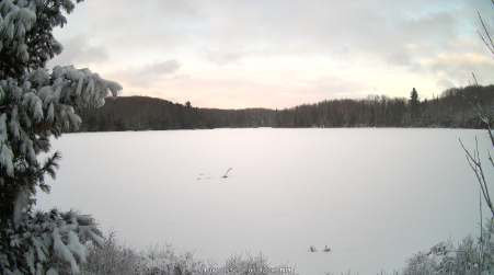 Image from 2025-04-07