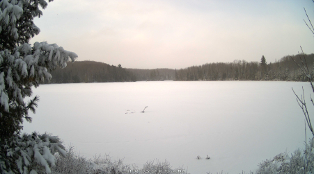 Image from 2025-04-07